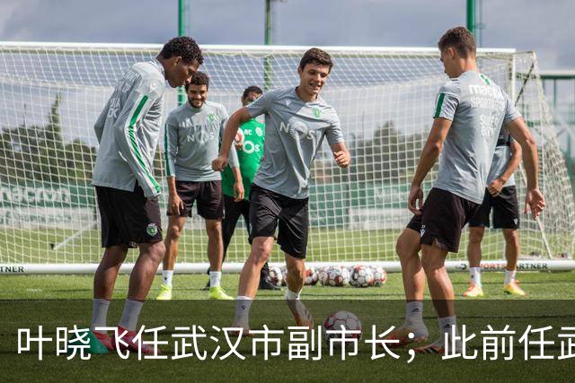 叶晓飞任武汉市副市长；此前任武汉市地方金融管理局局长，9月公示拟任正厅级职务